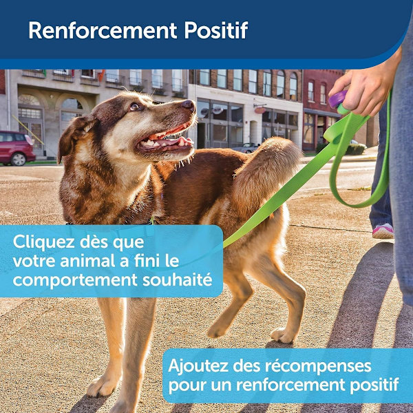 Klikker til hundetræning - positiv adfærdsforstærker til KLB