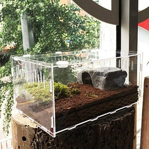 Vinnykud Mini Terrarium Transport Box, Reptil fôringsboks laget av akryl, bærbar KLB