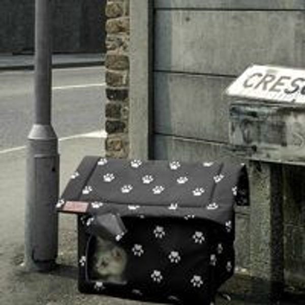 Vinterhus til katte - varmt husly til katte, seng til KLB