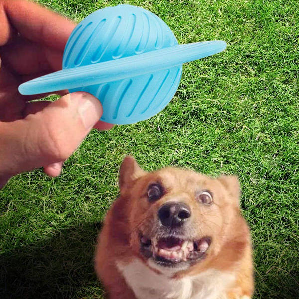 Nice Dream Hund Leksak Boll för Godis, Interaktiv Leksak KLB