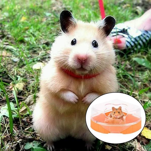 Hamsterin lemmikkikylpyhuone, Chinchilla-kylpyhuone, muovinen hamsteri KLB