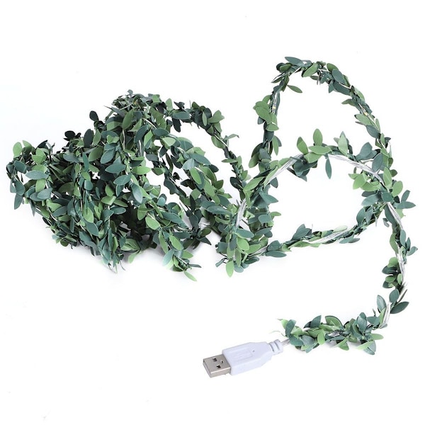 30 LED 3m/9,8ft USB-laddning rotting ljusslinga KLB