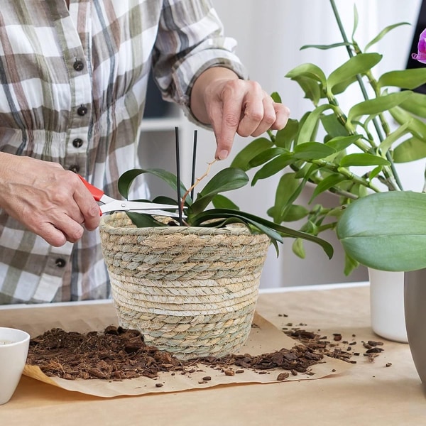 Sæt med 3 plante kurve, blomsterkurv, flettet, gammel søgræs kurv, håndvævet