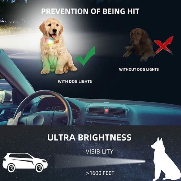 Uppladdningsbar LED-ljuskrage för hund, vattentät, 4 färgskiftande lägen