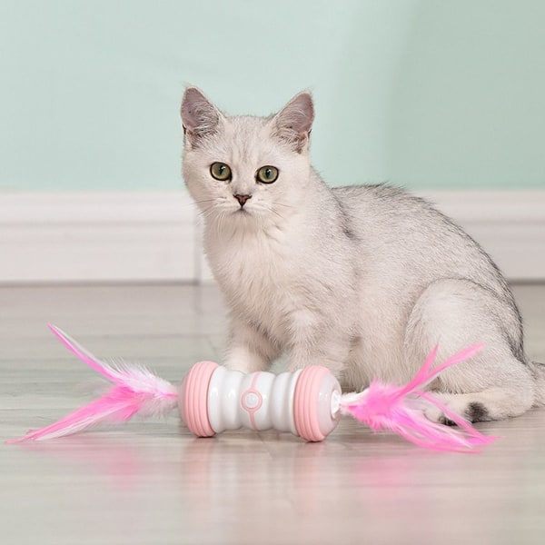 Elektrisk interaktiv katt leksak rosa KLB