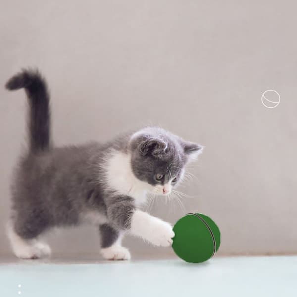 Elektrisk interaktiv katt leksak boll, USB grön KLB