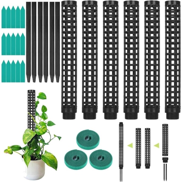 Trellis, Kasvikeppi, Sammalkeppi Monsteralle, 6 kpl, Kookospalmut, Sammalnapa, Kasvituki, Monsteran Kiipeilyapu KLB