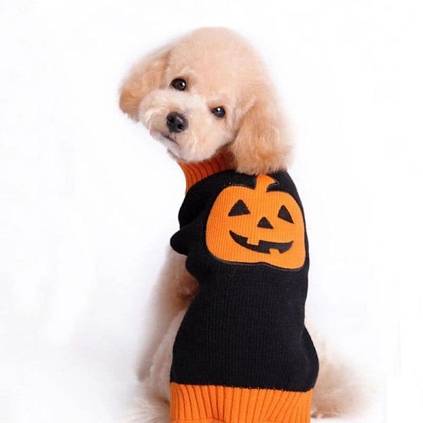 Græskar hundetrøje kæledyrstrøjer Halloween feriefest til kat og hvalp Halloween jul kæledyrstrøje græskartrøje nytår hundetrøje