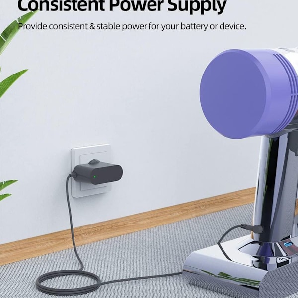 Oplader til Dyson V6 V7 V8 DC58 DC59 DC61 DC62 SV03 SV04 SV05 SV06 SV07, AC strøm