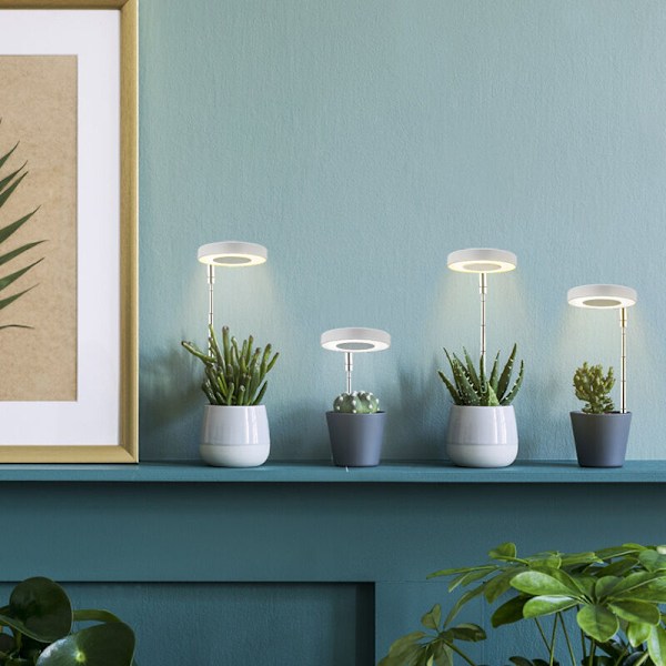 Kasvilamppu, 48 LED-kasvilamppu, kasvilamppu ajastimella - 3H / 9H / 12H (keltainen ja valkoinen valo) KLB