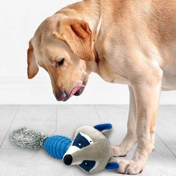 TPR och plysch hund leksak, hållbar tuggleksak tvättbjörn KLB