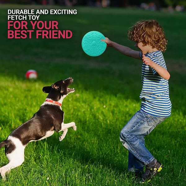Hundfrisbees, hund leksak frisbee, gummi grön KLB