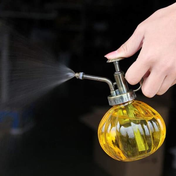 Växtförstövare, Sprayflaska Glas Blomvatten Sprayflaska Burken