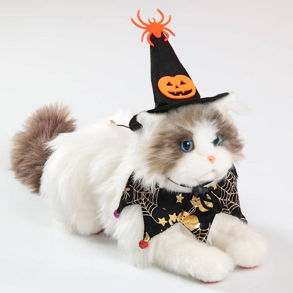 Kissan noita Halloween-asu, koiran kaulapanta ja noidan hattu KLB:lle