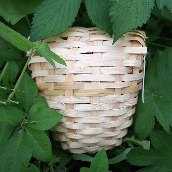 Eksoottinen pesä, bambu, 9 * 7 * 12 cm linnulle