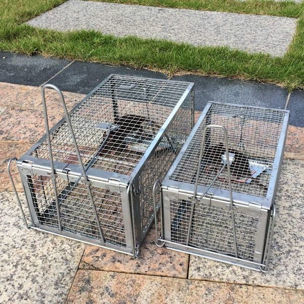 Burfälla för råttor, möss, ekorrar, möss, sorkar