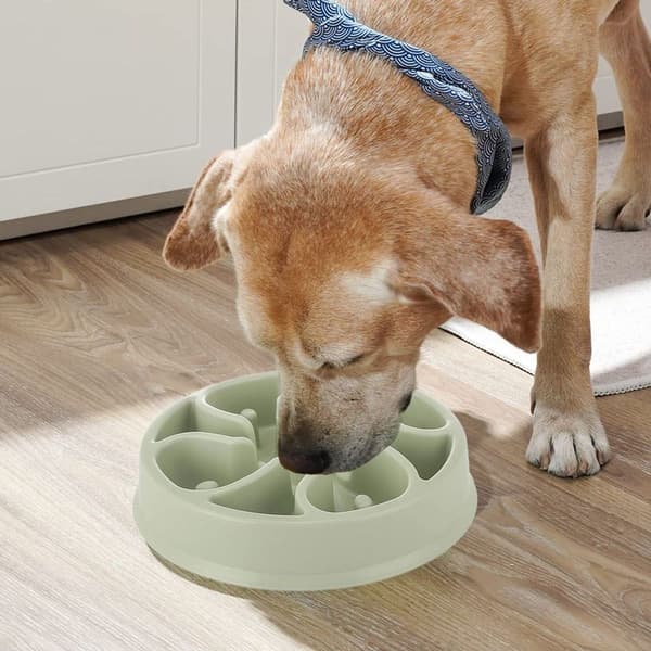 Langsom Foder Skål til Hunde, Maze Interaktiv Hundepuslespil, Sjov Grøn KLB