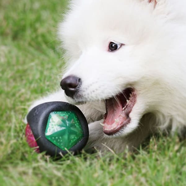 Hundelegetøjsbold med LED-lys og squeaker, hundebold hundebolde, KLB