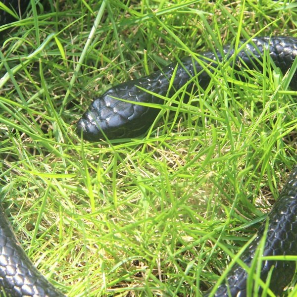 Realistisk gummiormleksak 50 tum Mamba för trädgårdsprylar KLB