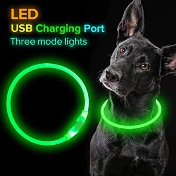LED-hundehalsbånd, USB-oppladbart blits-hundehalsbånd, kjæledyrsikkerhetshalsbånd lar dine elskede hunder bli sett om natten for små, middels