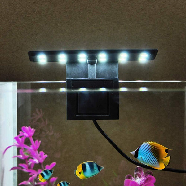 AC220V 5W 12 LED Akvarielys Fisk Glaslampe Hvidt Lys Bærbar KLB