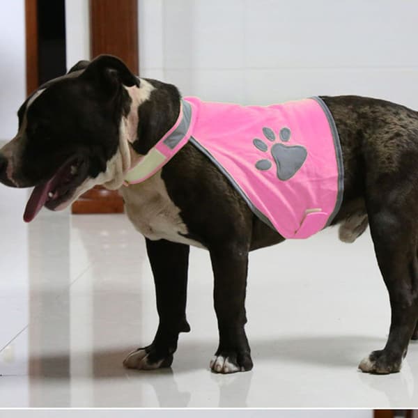 Reflekterende hundevest for jakt - Komfortabel hund M