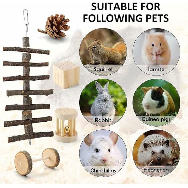 Dvärgkaninleksak (12 delar), Naturligt trähamsterspel, Inomhus gnagarleksak för små djur Kanin/Hamster/Ekorre/Chinchilla KLB