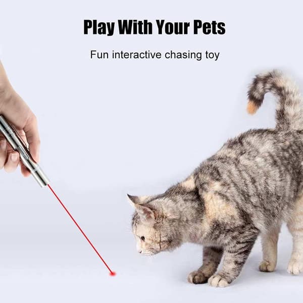 Kattelegetøj til huskatte, USB-genopladeligt, drilleri katte KLB