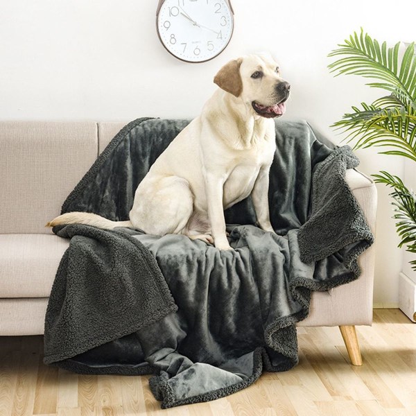 Tvättbar hundfilt, fluffig och mjuk kattfilt, för grå KLB