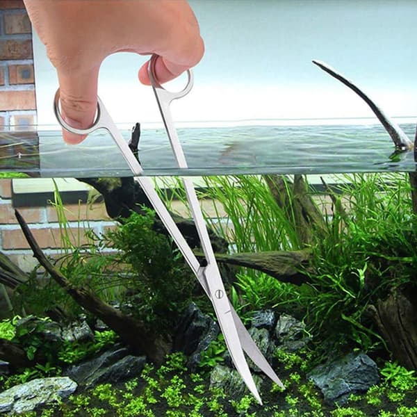 Plantesaks, rustfrit stål, albue saks, sølv KLB