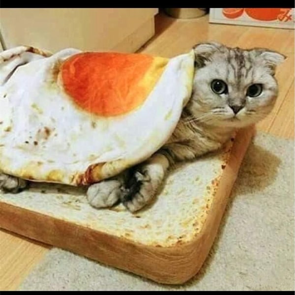 Katt/kennel seng, kjæledyr hvile seng, morsom plysj valp sofa pute teppe, KLB