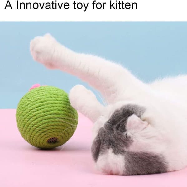 Kat Roly-Poly Scratcher Kugler, Kaktus Kat Scratcher, Motion KLB