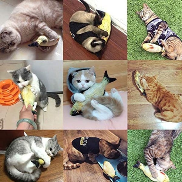 5-delad kattmyntaleksak simulerar interaktiv fiskform, kattmynt style4 KLB