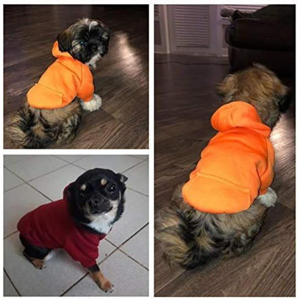 Kattetrøje i bomuld til hunde med vinterfrakke og udvendig lomme, orange