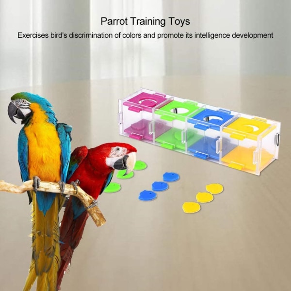 Fugleleker,Fargerike papegøyeleker Intelligens Interessant trening for fugler,Interaktivt papegøyespill