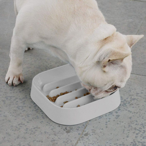 Sund langsom spisning hundeskål, madskål til hunde og katte, grå KLB