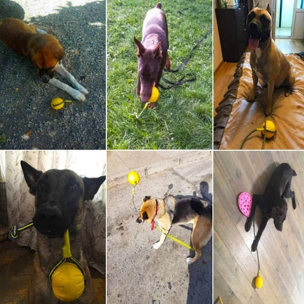 Boll med snöre, hund leksak, boll, hund leksak, vatten flyta, KLB
