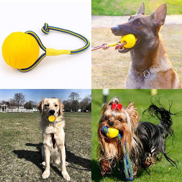 Boll med snöre, hund leksak, boll, hund leksak, vatten flyta, KLB