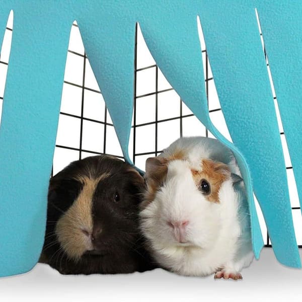 Kanin/Hamster Hengekøye Lite Dyre Gjemmested Blå/Grå KLB