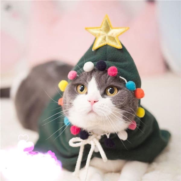 Pet Julekostume - Julecape med stjerne - S KLB