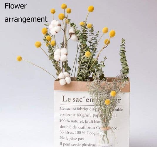 TooGet Naturlige Tørkede Craspedia Blomster Gule Billy Buttons Kuler