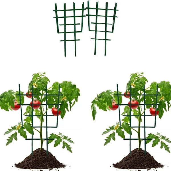 Mini klatreplante-støtter i plast