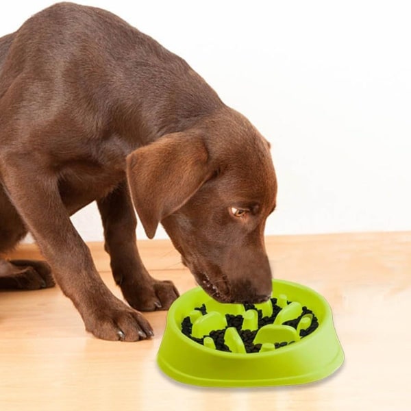 Decyam langsomt foderhundemad, interessant interaktivt hundemad, KLB
