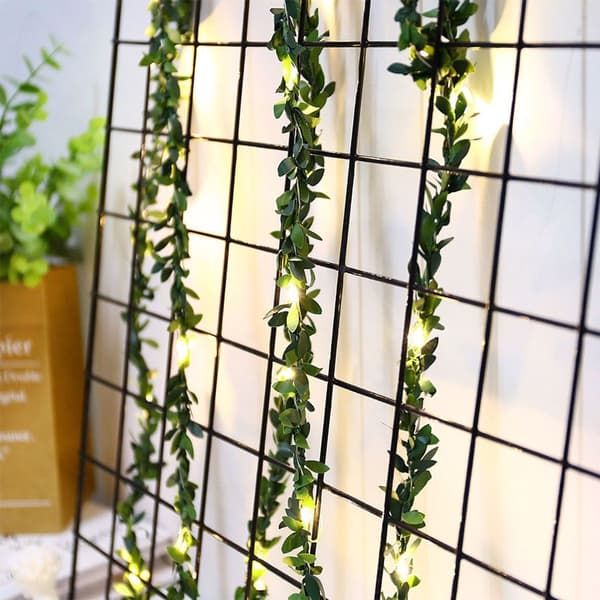 30 LED 3m/9.8ft USB-ladede rottinglyskjeder KLB