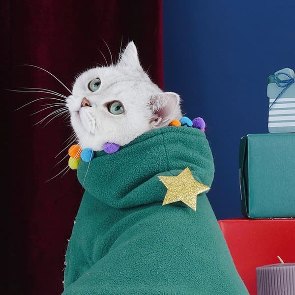 Pet Julekostume - Julecape med stjerne - S KLB