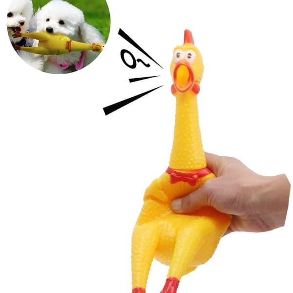 Nyhet Square Squealing Chicken Hund Leksak - Stor - Gul KLB