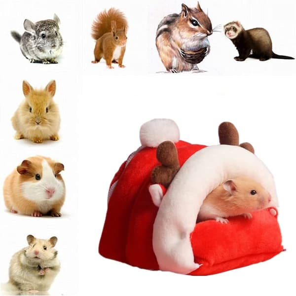 Kælegrotter marsvin smådyrsseng hamster kæle hængekøje