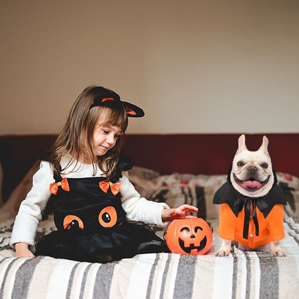 Halloween græskar funky todelt hvalpekjole hundeparty M