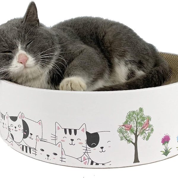 Kattens klorebrett, katteklører, interaktivt katteleketøy, katter KLB