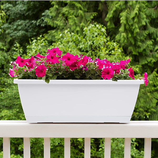 5-pack plastblomlådor för grönsaker